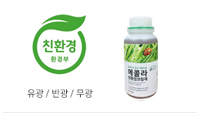 에콜라 500ml