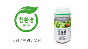 에콜라 0250ml